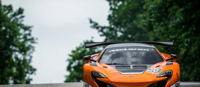 McLaren 650S GT3 (2014) - picture 7 of 16