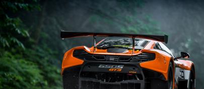 McLaren 650S GT3 (2014) - picture 15 of 16