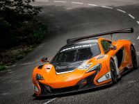 McLaren 650S GT3 (2014) - picture 10 of 16