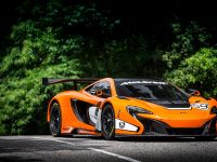 McLaren 650S GT3 (2014) - picture 11 of 16