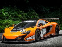McLaren 650S GT3 (2014) - picture 13 of 16
