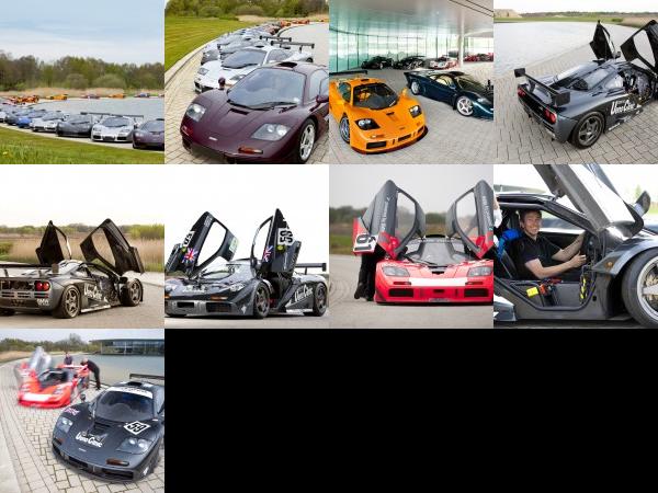 McLaren F1 range (2010) - picture 1 of 9