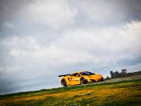 McLaren MP4-12C GT3 (2011) - picture 35 of 36