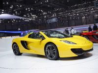 McLaren P1 Geneva (2013) - picture 8 of 9