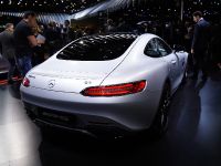 Mercedes-AMG GT Paris (2014) - picture 6 of 9