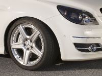Mercedes-Benz B55 V8 (2011) - picture 4 of 7