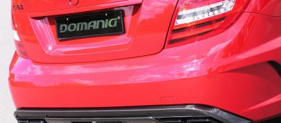Mercedes-Benz C63 AMG Black Series by Domanig (2012) - picture 7 of 8