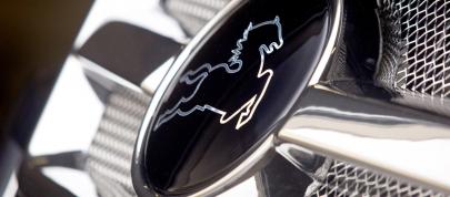 Mercedes-Benz CGL45 Carlsson (2011) - picture 7 of 10