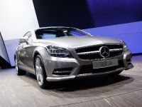 Mercedes-Benz CLS 350 Paris (2010) - picture 1 of 4