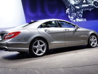 Mercedes-Benz CLS 350 Paris (2010) - picture 3 of 4