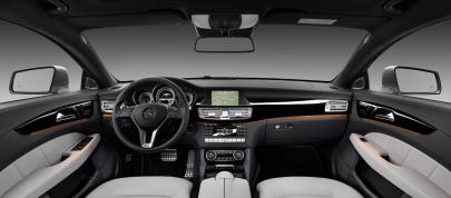 Mercedes-Benz CLS Shooting Brake (2013) - picture 12 of 69