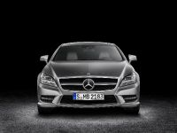 Mercedes-Benz CLS Shooting Brake (2013) - picture 4 of 69