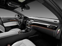 Mercedes-Benz CLS Shooting Brake (2013) - picture 13 of 69