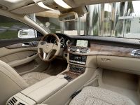 Mercedes-Benz CLS Shooting Brake (2013) - picture 22 of 69