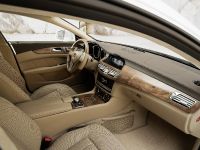 Mercedes-Benz CLS Shooting Brake (2013) - picture 26 of 69