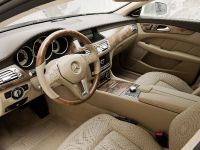 Mercedes-Benz CLS Shooting Brake (2013) - picture 29 of 69