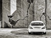 Mercedes-Benz CLS Shooting Brake (2013)