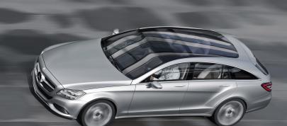 Mercedes-Benz CLS Shooting Break Concept (2010) - picture 12 of 41