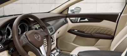 Mercedes-Benz CLS Shooting Break Concept (2010) - picture 28 of 41
