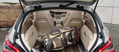 Mercedes-Benz CLS Shooting Break Concept (2010) - picture 36 of 41