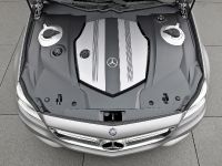 Mercedes-Benz CLS Shooting Break Concept (2010) - picture 6 of 41