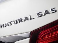 Mercedes-Benz E 200 Natural Gas Drive (2013)