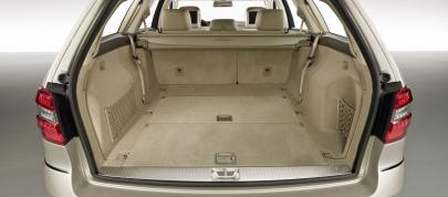 Mercedes-Benz E-Class Estate (2010) - picture 12 of 49