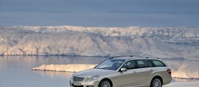 Mercedes-Benz E-Class Estate (2010) - picture 23 of 49