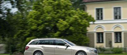 Mercedes-Benz E-Class Estate (2010) - picture 31 of 49