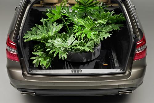 Mercedes-Benz E-Class Estate (2010) - picture 17 of 49