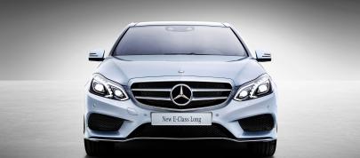 Mercedes-Benz E-Class Long-Wheelbase (2013) - picture 4 of 6