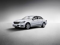 Mercedes-Benz E-Class Long-Wheelbase (2013) - picture 1 of 6