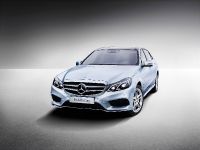 Mercedes-Benz E-Class Long-Wheelbase (2013) - picture 3 of 6