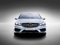 Mercedes-Benz E-Class Long-Wheelbase (2013) - picture 4 of 6