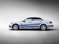 Mercedes-Benz E-Class Long-Wheelbase (2013) - picture 5 of 6