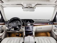 Mercedes-Benz E-Class Long-Wheelbase (2013) - picture 6 of 6