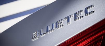 Mercedes-Benz E220 BlueTEC BlueEFFICIENCY Edition (2013) - picture 7 of 11