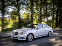 Mercedes-Benz E220 BlueTEC BlueEFFICIENCY Edition (2013) - picture 2 of 11