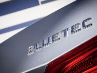 Mercedes-Benz E220 BlueTEC BlueEFFICIENCY Edition (2013) - picture 7 of 11