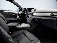 Mercedes-Benz E500 AVANTGARDE AMG sports package (2010) - picture 6 of 6