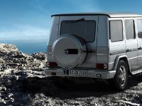 Mercedes-Benz G350 BlueTEC (2010) - picture 3 of 4