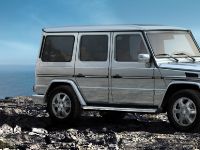 Mercedes-Benz G350 BlueTEC (2010) - picture 2 of 4