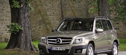 Mercedes-Benz GLK Class (2010) - picture 7 of 20
