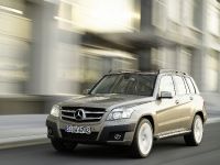 Mercedes-Benz GLK Class (2010)