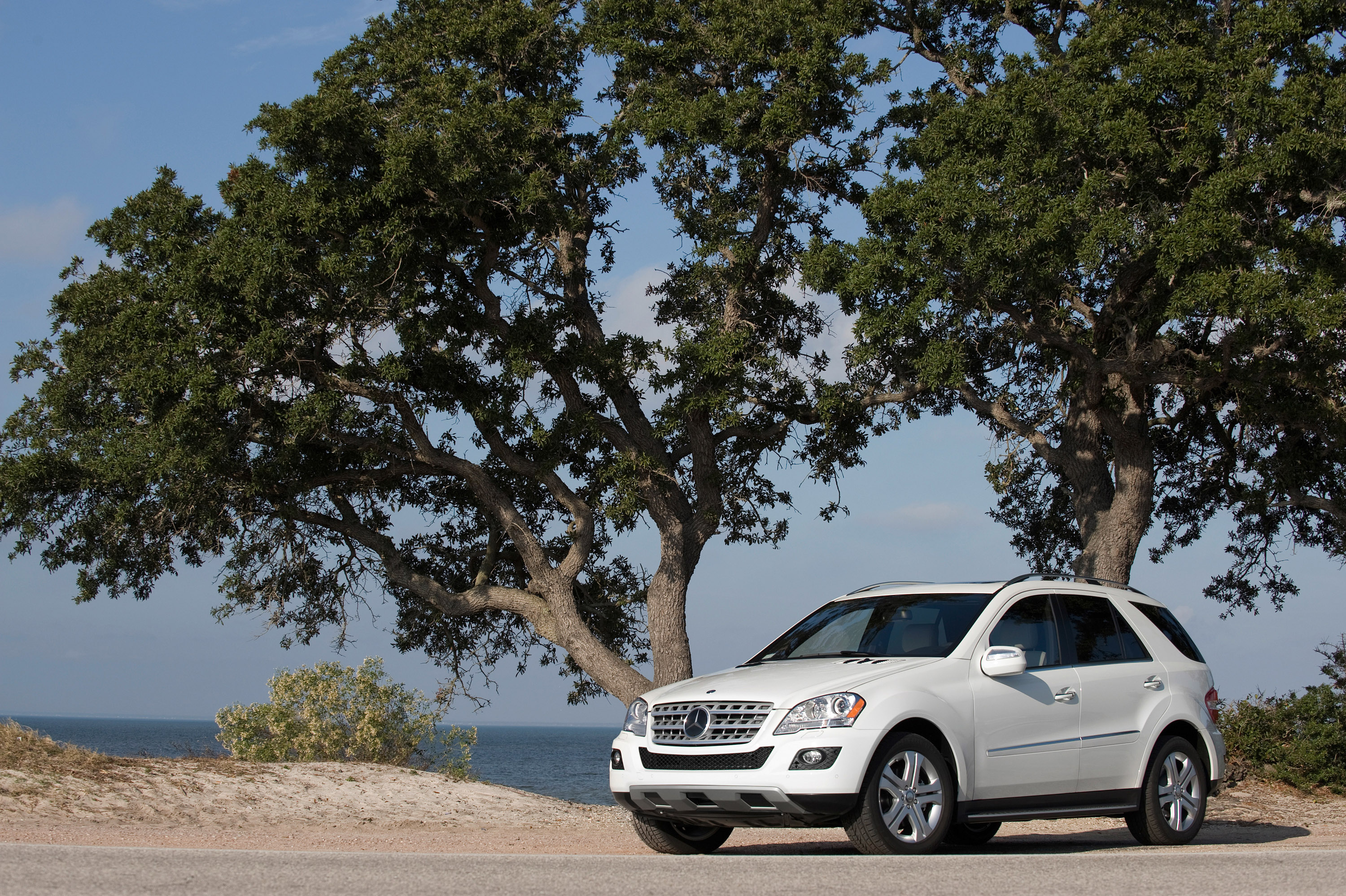 Mercedes-Benz ML 320 BlueTEC