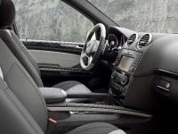 Mercedes-Benz ML 63 AMG 10th Anniversary (2009) - picture 10 of 20