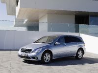 Mercedes-Benz R 350 BlueTEC (2009) - picture 1 of 4