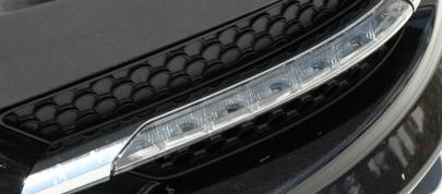 Mercedes-Benz S-Class Grand Edition W221 (2012) - picture 12 of 21