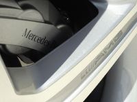 Mercedes-Benz S-Class Grand Edition W221 (2012) - picture 21 of 21