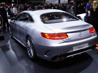 Mercedes-Benz S-Class Paris (2014) - picture 3 of 3